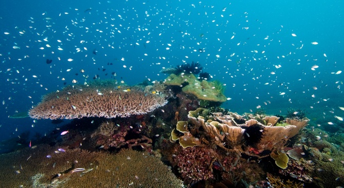 Cocotinos Sekotong Lombok