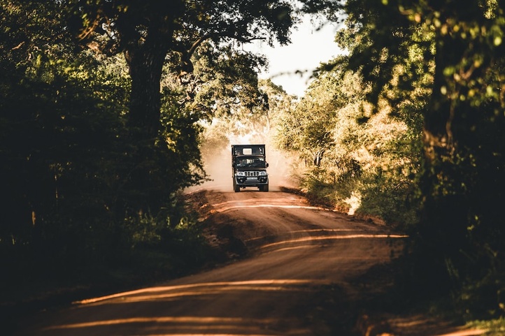 Leopard Nest In Yala
