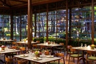 Paradisus By Melia Bali