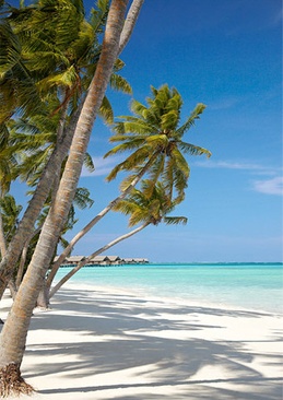 Shangri-La's Villingili Resort And Spa, Maldives