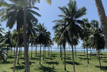 Alamayah