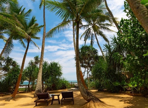 Taru Villas - 906