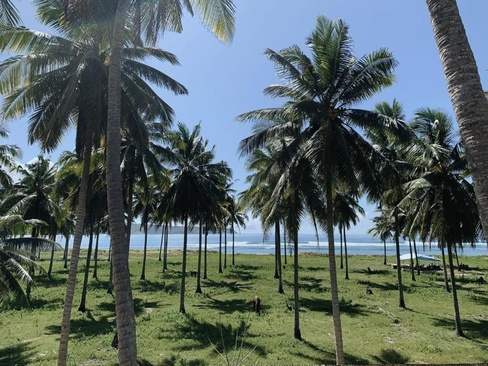Alamayah