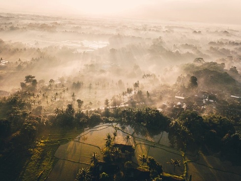 Tanah Gajah, A Resort By Hadiprana - Former The Chedi Club Ubud, Bali