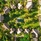 Dinarobin Beachcomber Golf Resort & Spa