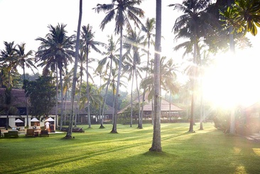 Alila Manggis