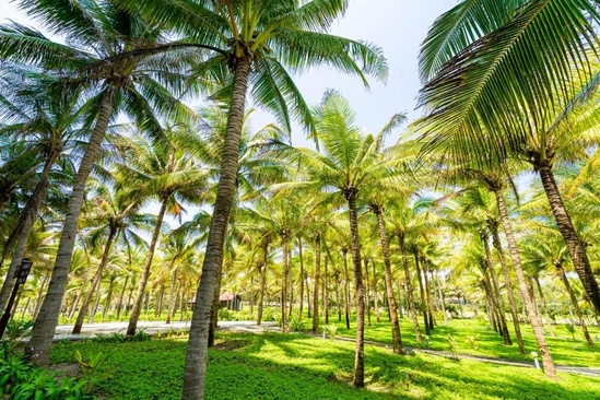 Ocean Waves Resort