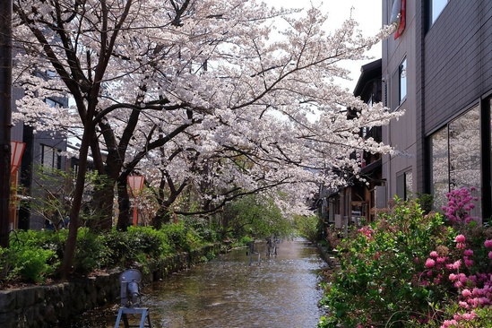 Aoi Kyoto Stay