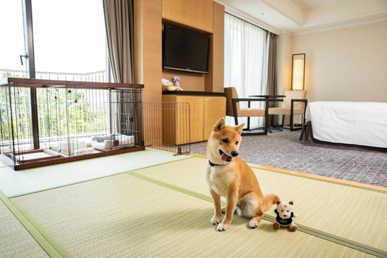Hilton Odawara Resort & Spa