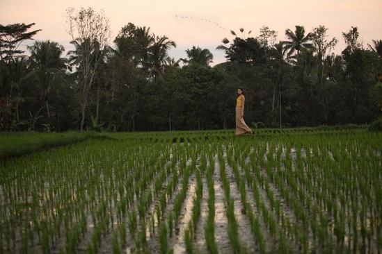 Alaya Resort Ubud