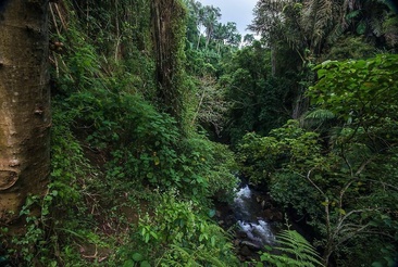 Udhiana Resort Ubud