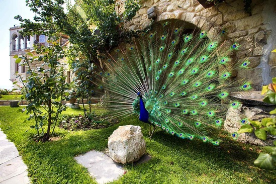 Museum Hotel Cappadocia