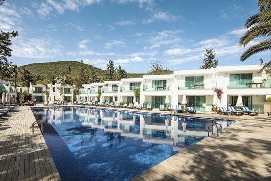 Voyage Torba