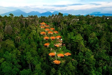 Nandini Jungle By Hanging Gardens