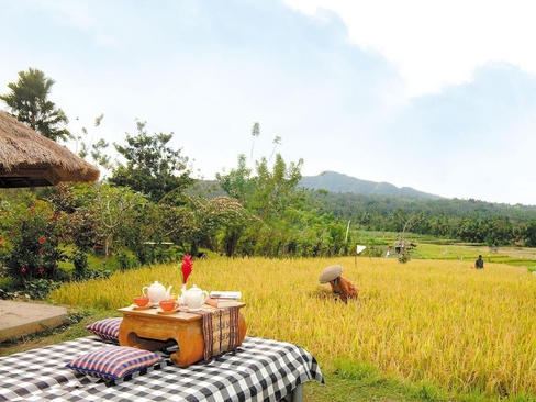 Puri Bagus Manggis