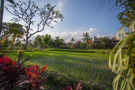 Agung Raka Resort And Villas