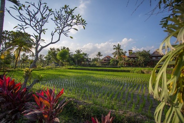 Agung Raka Resort And Villas