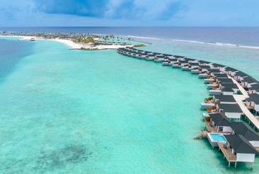 Joy Island