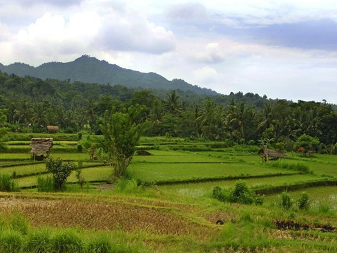 Puri Bagus Manggis