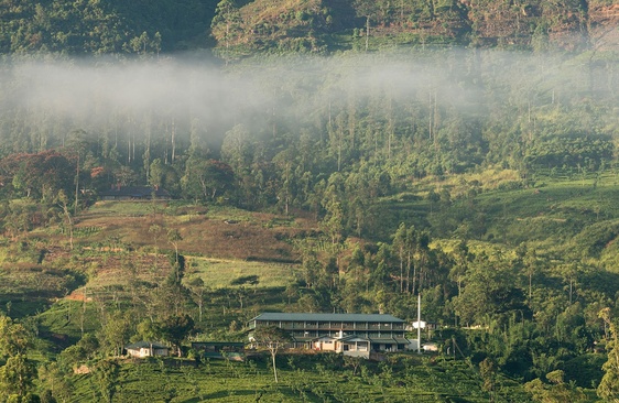 Ceylon Tea Trails