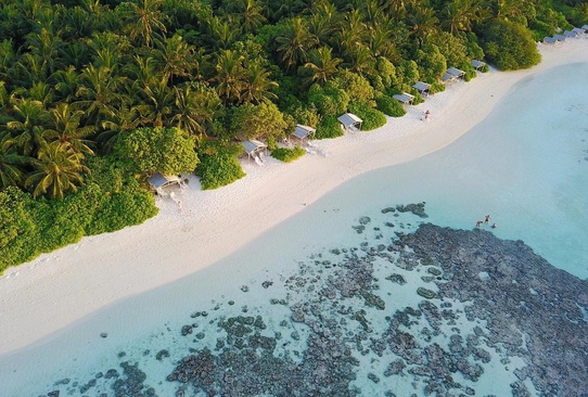 Plumeria Maldives