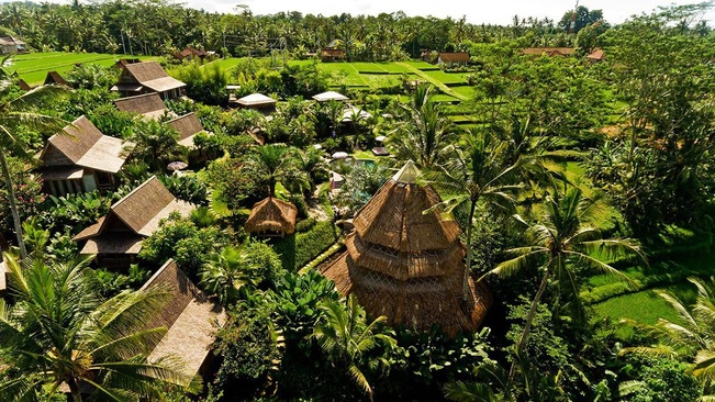 Blue Karma Nestling Ubud