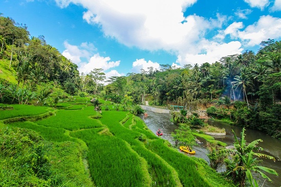 Jungle Retreat Ubud