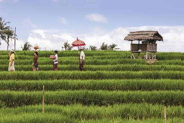 Pullman Bali Legian Nirwana