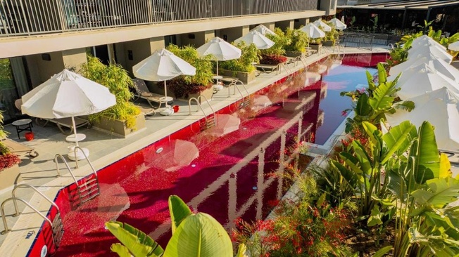 The X Belek