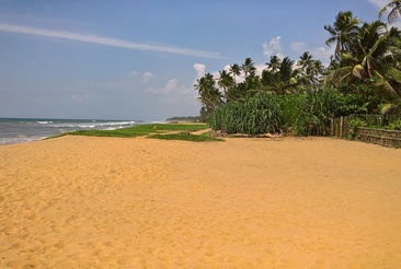 The Taprobana Wadduwa