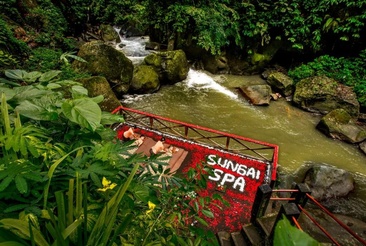 Nandini Jungle By Hanging Gardens
