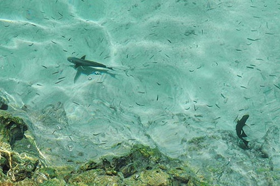 Makunudu Island