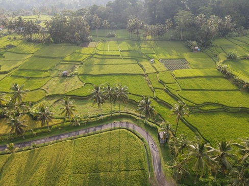 The Sun Heaven Ubud