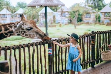 Mara River Safari Lodge Bali