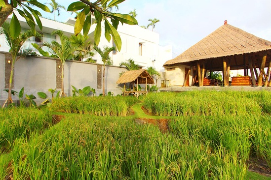 The Kirana Hotel Resto & Spa