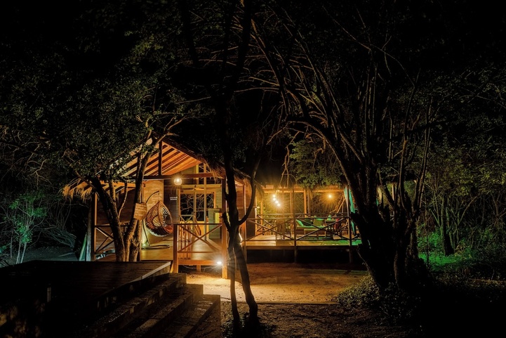 Leopard Nest In Yala