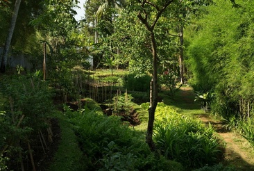 The Samaya Ubud