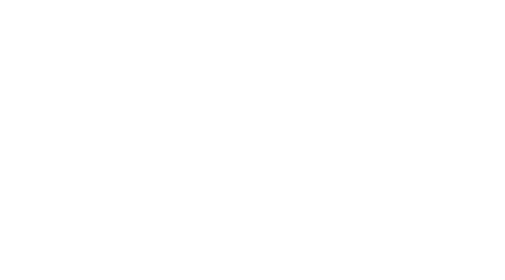 Corona Travel