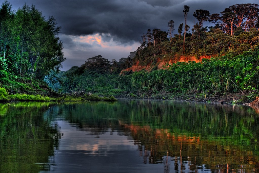 Джунгли бразилии. Река Амазонка джунгли. Тропические дождевые леса Амазонии. Амазонская Сельва. Сельва Бразилии.