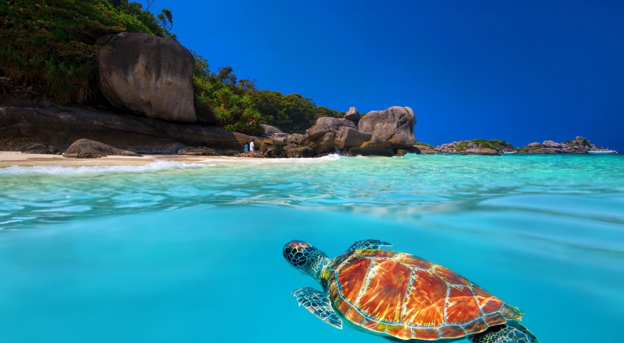SIMILAN ISLAND - Snorkeling - YouTube